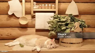 广州桑拿市场观察：最新趋势与未来展望 图片