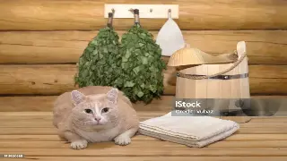 解锁专业按摩技巧：广州桑拿按摩师必学的实用教程 图片