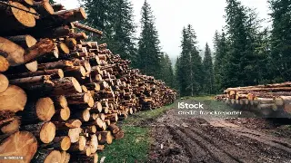 揭秘桑拿的健康密码：广州桑拿益处全解析 图片