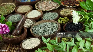 广州桑拿业新动态：行业变革与健康养生新趋势 缩略图