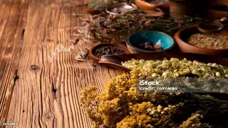 千年指尖舞：广州按摩的前世今生，按出健康，按出文化！