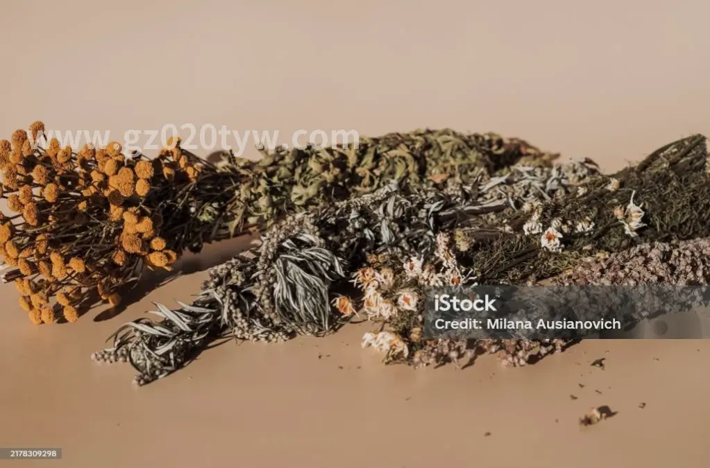 专业的按摩手法